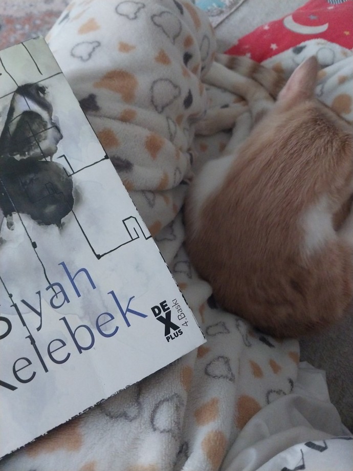 En son ne zaman elinize kitap aldınız 📚🤓?