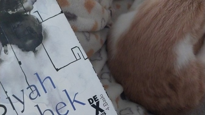 En son ne zaman elinize kitap aldınız 📚🤓?