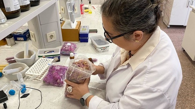 Trakya Üniversitesi'nden Gülşah Gedik, yutulabilir parfüm üretmiş. Yutulabilir parfüm size mantıklı geliyor mu?
