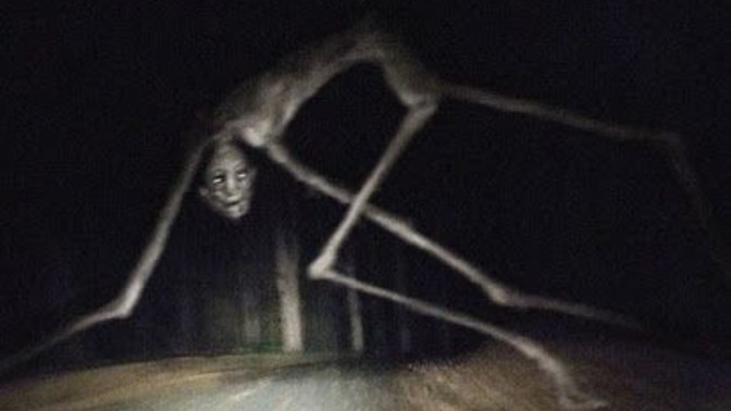 Gece karşınıza şöyle bir şey çıksa n'aparsınız?