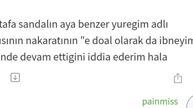 Yanlış anladığınız şarkı sözleri nelerdir?