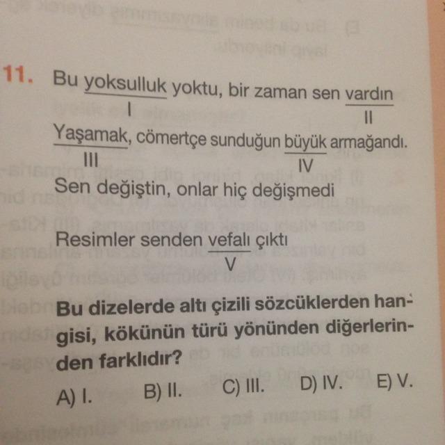 "Hangisinin kökü, türü yönüyle diğerlerinden farklıdır " dediği zaman neye bakmamız gerekiyordu?