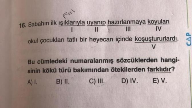 "Hangisinin kökü, türü yönüyle diğerlerinden farklıdır " dediği zaman neye bakmamız gerekiyordu?
