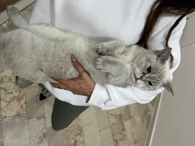 Issız bir adaya düşseniz yanınıza alacağınız 3 kişi kim?