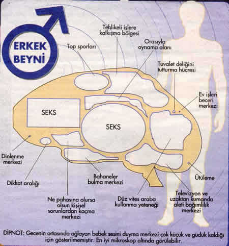 Erkeklerin beyninden geçenler okuna bilse içinden neler çıkardı?