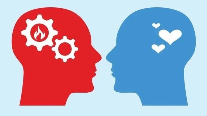 Mantık insanı mısınız duygu insanı mı?