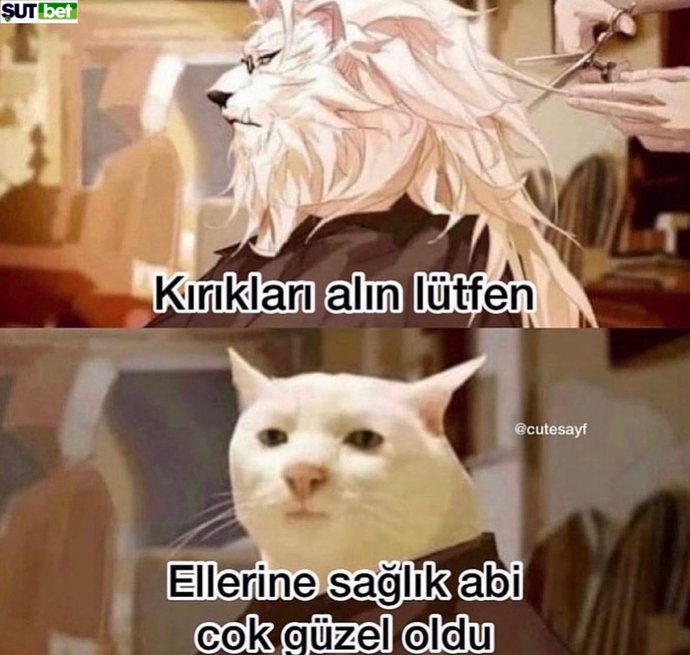 Kuaför çıkışı rüzgardan uçuşan saçlarınızla kendinizi şampuan reklamında hisseder misiniz?