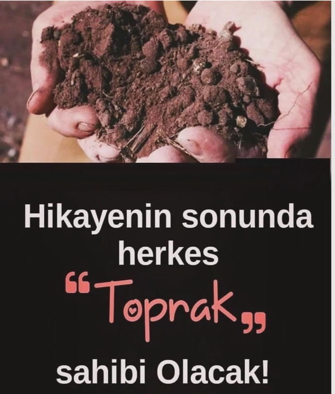 Bazı şeyleri dert etmeye değmiyorsa eğer nedir bu inat?