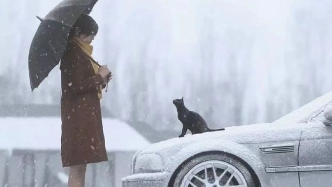 Hayat sizi imkânlarla donatarak, fırsatlarla parlatarak mı mücadele verdirerek, sıranızı bekleterek mi yaşatıyor?