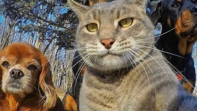 Seninle şöyle olabilirdik dediğiniz birisi var mı?