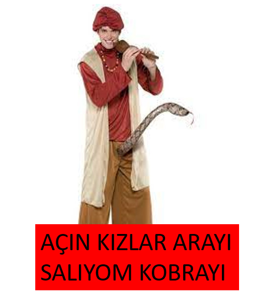 Evcil hayvanınızla fotoğrf çekinmeyi severmisiniz?