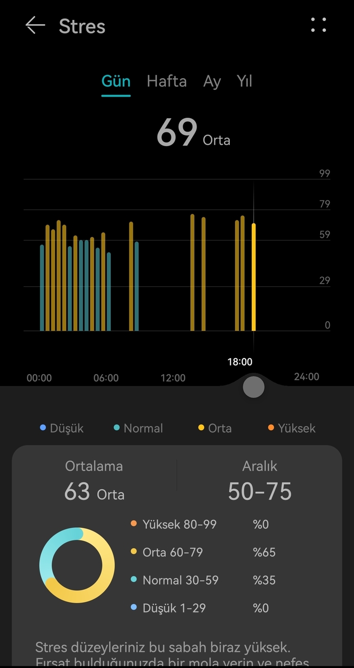 Ne kadar streslisiniz?