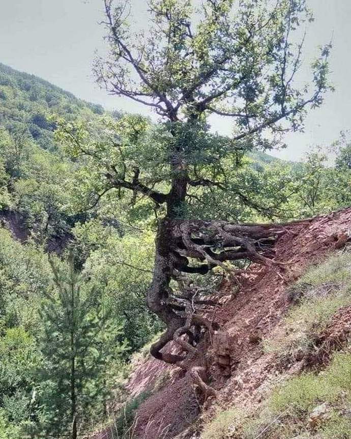 Hayata böyle tutunuyor musunuz?