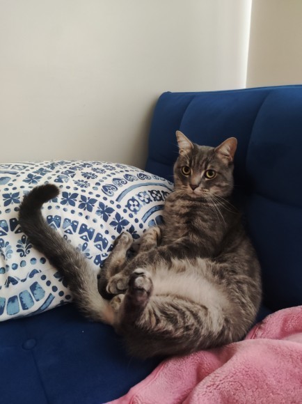 Güne başlama rutininiz var mı?