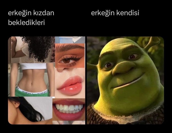 Partnerinizden beklentileriniz neler?