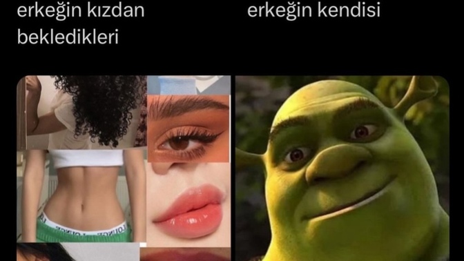 Partnerinizden beklentileriniz neler?