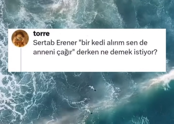 Sertap Erener bir kedi alırım sende anneni çağır derken ne demek istemiş olabilir?