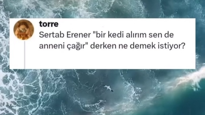 Sertap Erener "bir kedi alırım sende anneni çağır" derken ne demek istemiş olabilir?