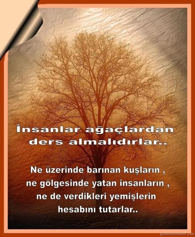 Sizde öğrendiniz mi 😔🥺?