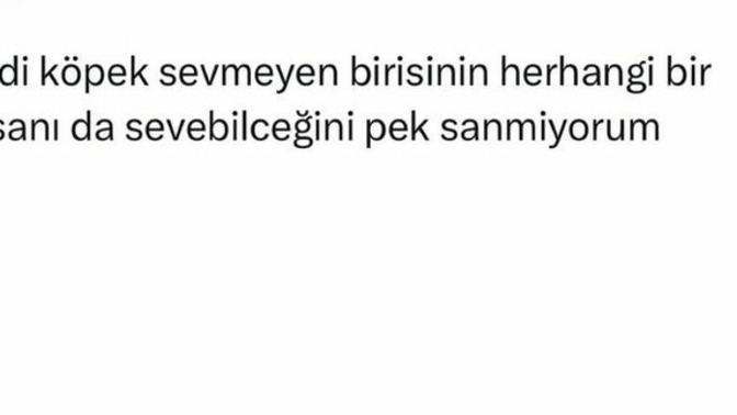 Hayvan sevmeyenden olur muuuuuuu?