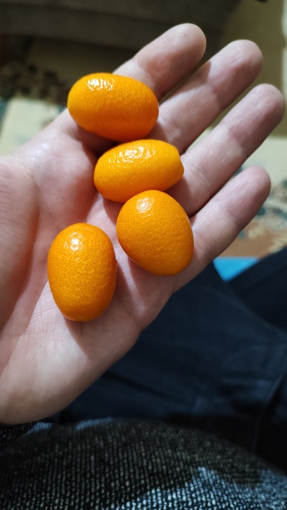 Bu meyvenin adı ne?