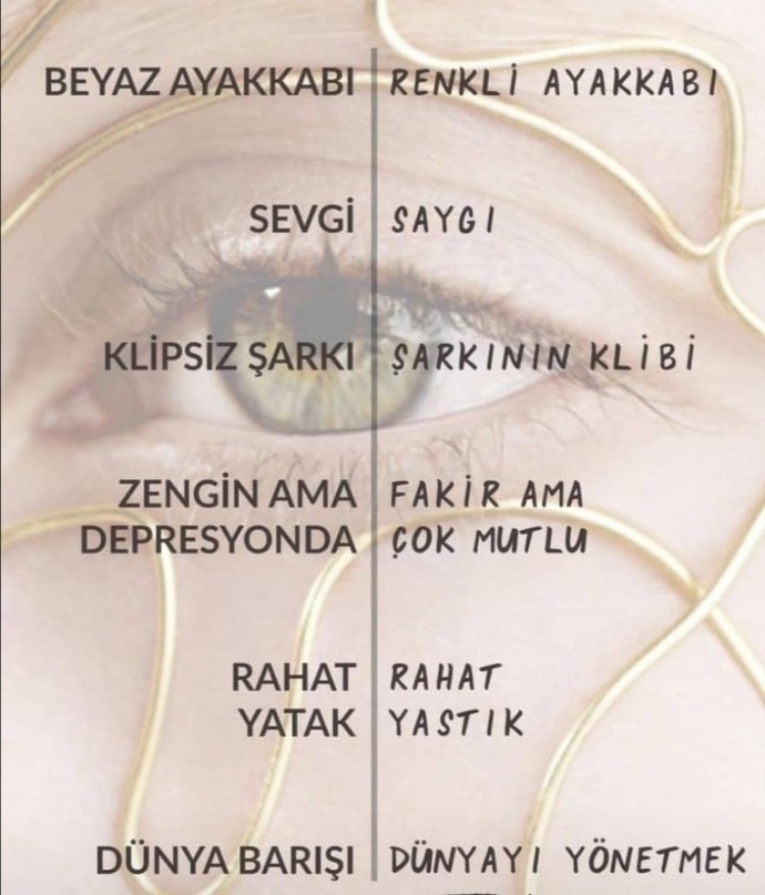 Hangilerini seçersiniz?