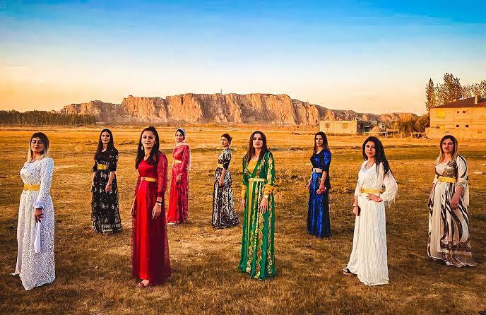 Şu asalete bakar mısınız