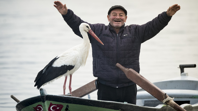 Yaren Leylek ile Adem Amca 13. yıllarında tekrar kavuştu. Bu dostluk size neler hissettiriyor?