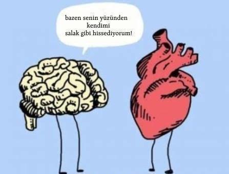 Beynim benim hakkımda böyle demiyordur inşallah 😂😂😂