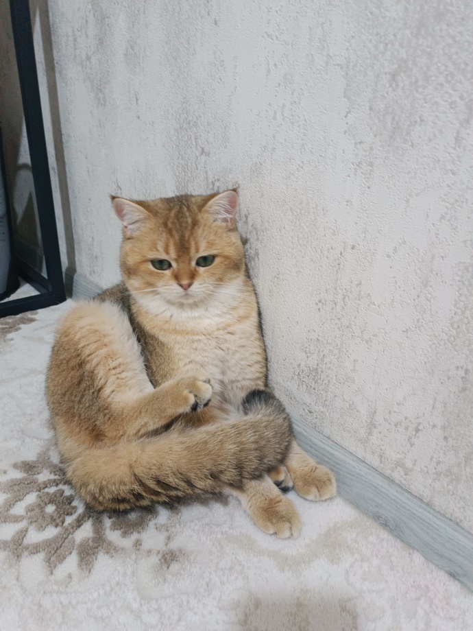 Erkekliğe elveda 🥺😭