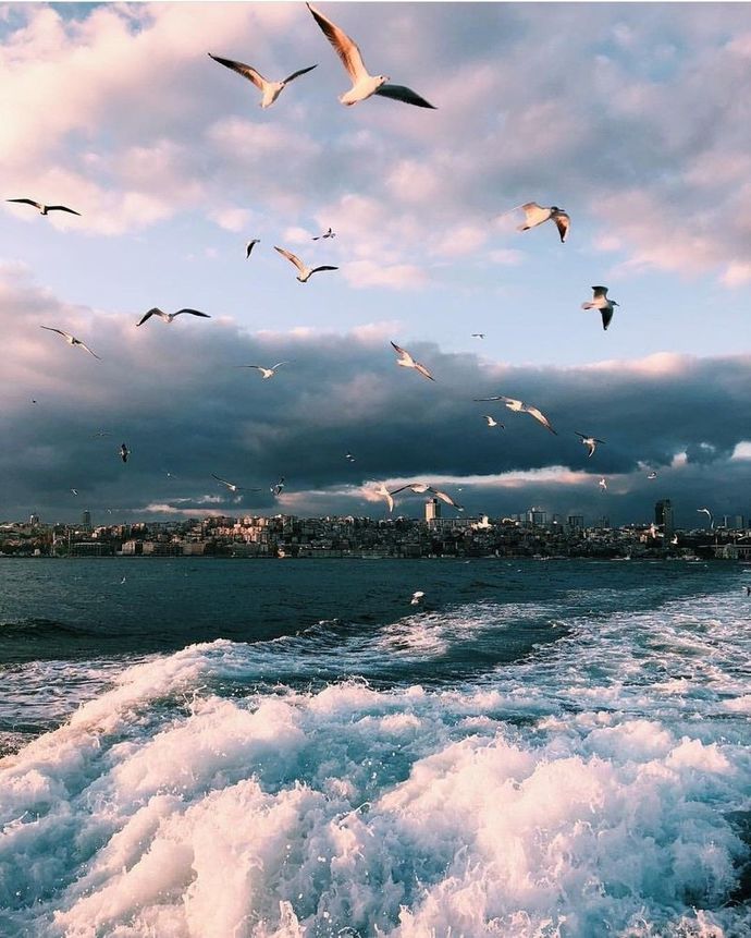Kuş olup gökyüzünde mi olmak istersin, balık olup denizde mi olmak?