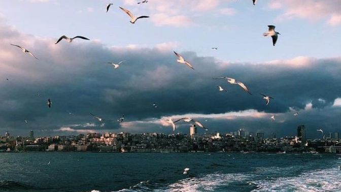 Kuş olup gökyüzünde mi olmak istersin, balık olup denizde mi olmak?