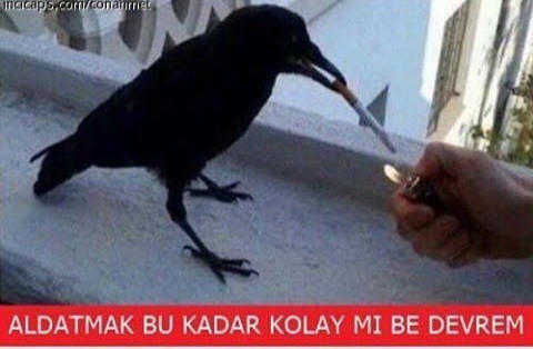 Erkeklerin birçoğu neden bir kadına odaklanamaz?
