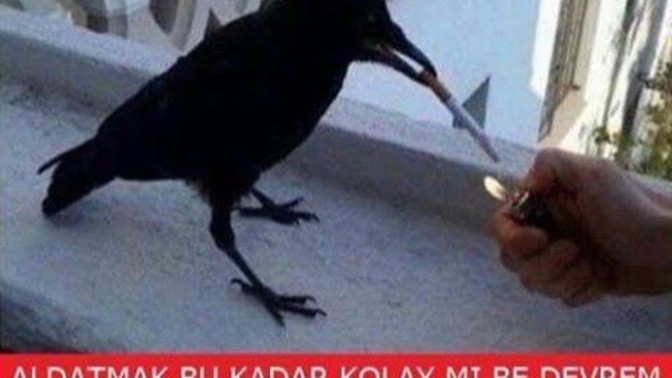 Erkeklerin birçoğu neden bir kadına odaklanamaz?