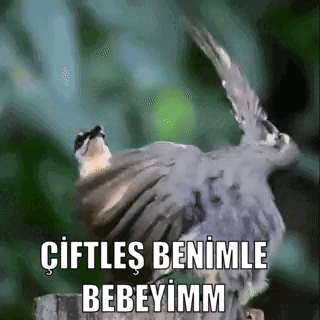 Erkeklerin hepsi neden başka türlü yaklasıyor bana?