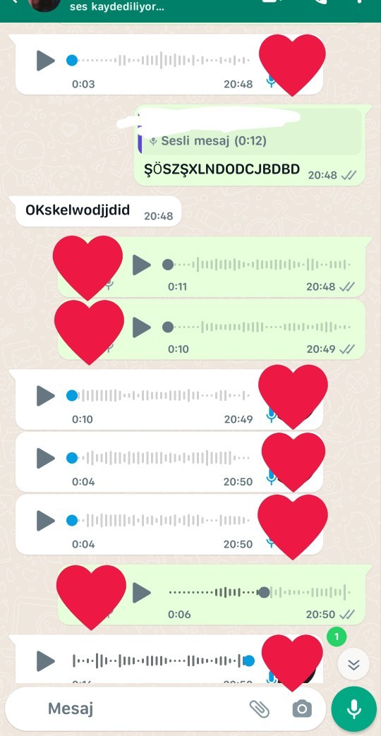 Telefonda konuşmayı sever misiniz?