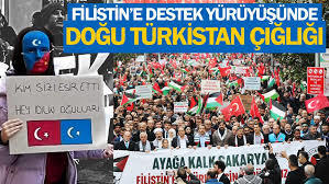 Filistin destekçilerine b*k atanların Doğu Türkistan için hiçbir şey yapmadığını gözlemledim bu kitle samimi midir sizce?