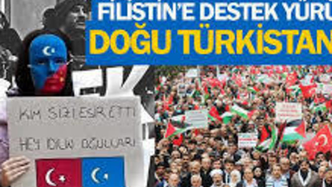 Filistin destekçilerine b*k atanların Doğu Türkistan için hiçbir şey yapmadığını gözlemledim bu kitle samimi midir sizce?