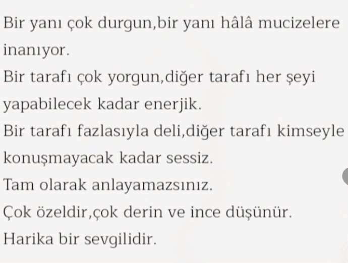 Görselde özellikleri sayılan hangi burçtur?