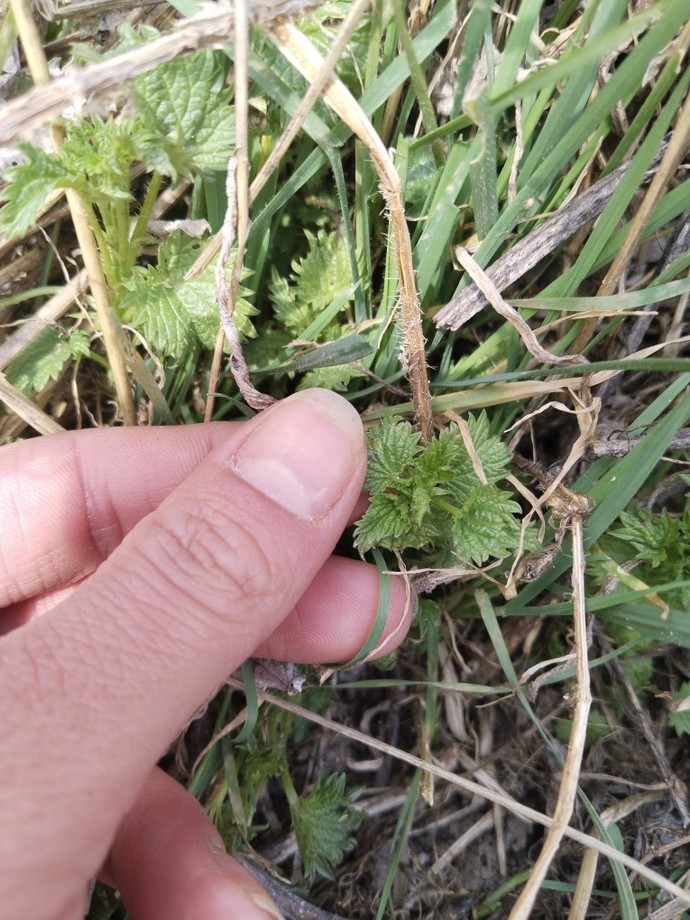 Doğrusunu sonradan öğrendiğiniz neler var?