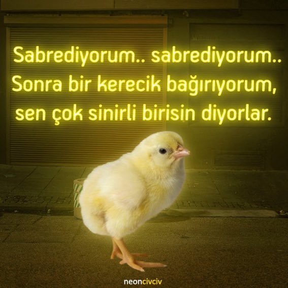 Hangi burç aşık olmadığı halde aşık rolünü çok iyi yapıyor?