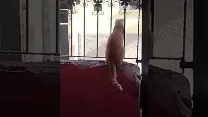 Nasıldı günün iyi ki?