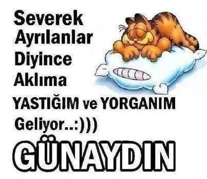 Yastığım ve yorganım çok seviliyorsunuz.. 😂😂 Ama geceye kadar ayrılmak zorundayız..