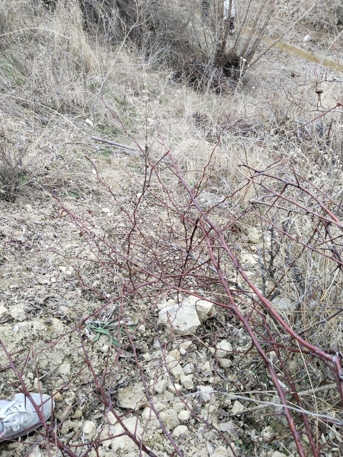 Siz kolay yolu mu seçersiniz hayatınızda yoksa zor olan yolu mu seçersiniz?