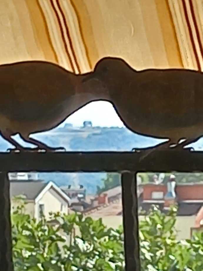 Baharı bekleyen kumrular gibi 😍
