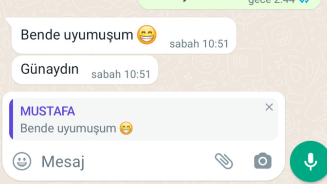 Yazsam mı yoksa sessiz mi kalsam?