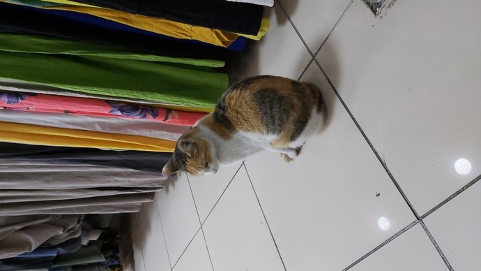 Galerinizde en çok kimin fotoğrafı var 📸?