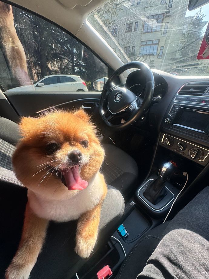 Galerinizde en çok kimin fotoğrafı var 📸?