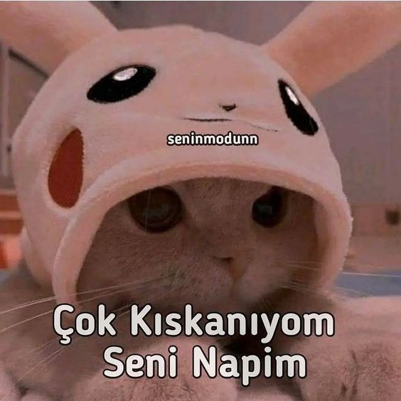 Sevgilimin kızlarla tokalaşmayı sevmemesinden hoşlanan bir tek ben miyim 😁?