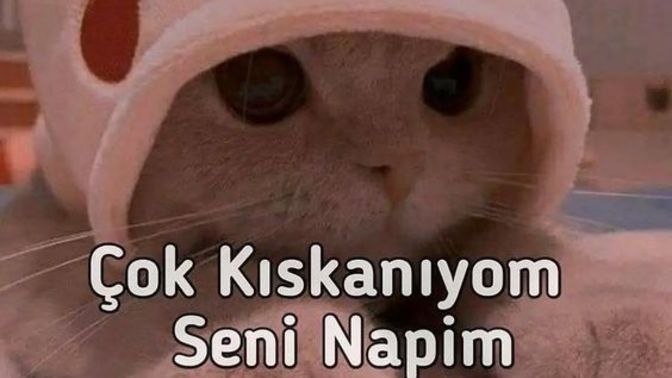 Sevgilimin kızlarla tokalaşmayı sevmemesinden hoşlanan bir tek ben miyim 😁?